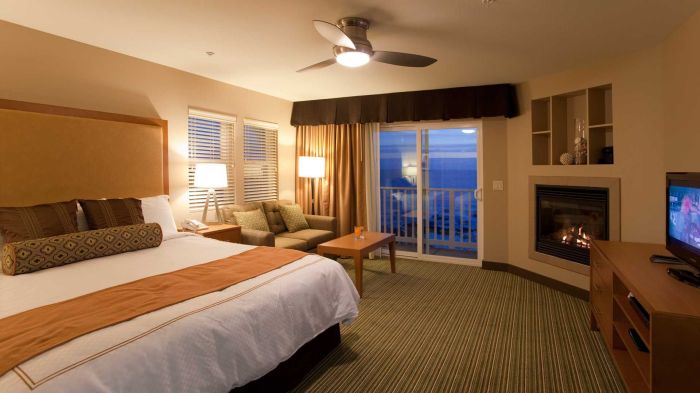 Pet-friendly online hotel accommodations